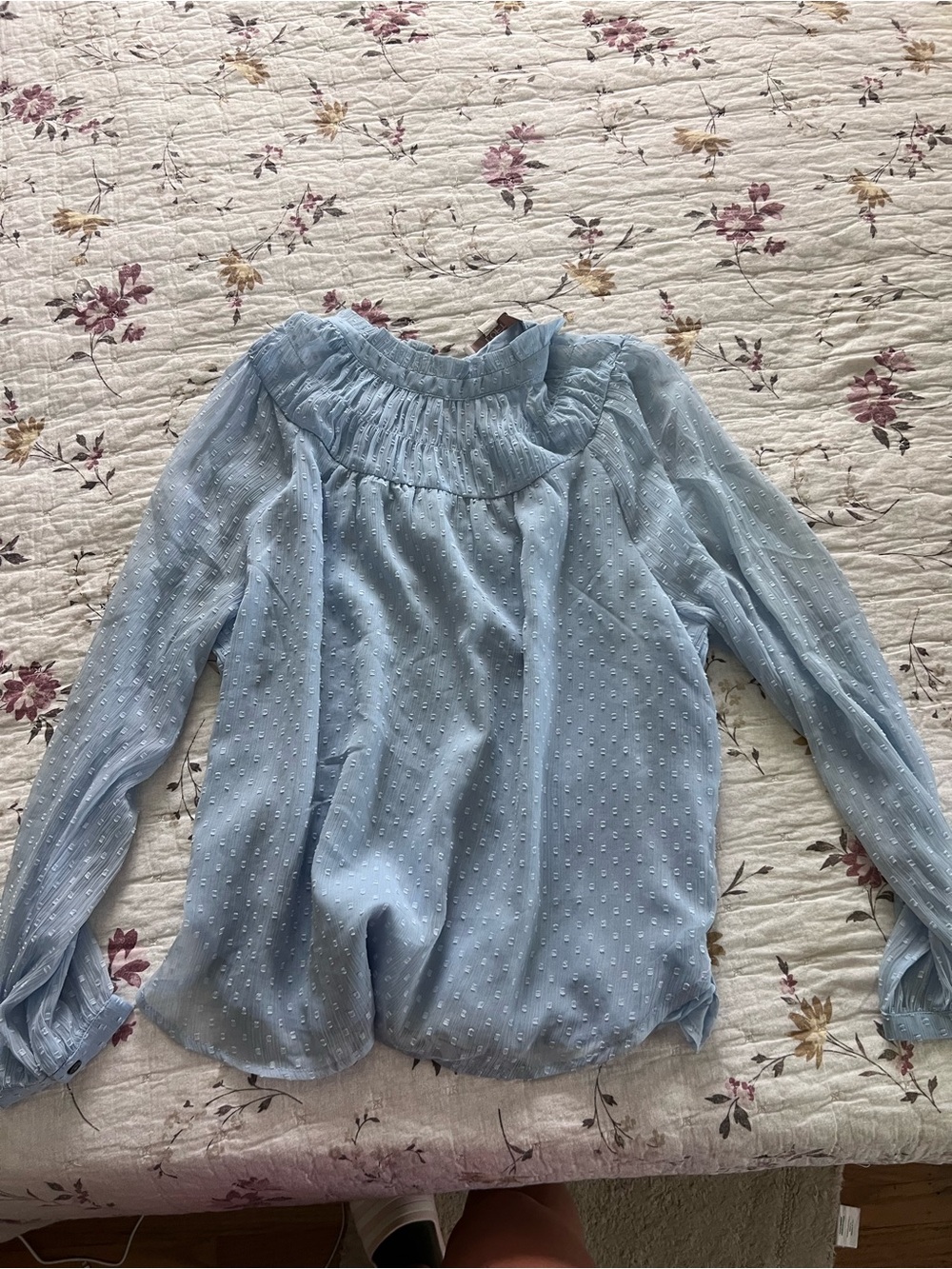 LOFT Light Blue Swiss Dot Smocked Yoke Blouse Sleeves are Sheer